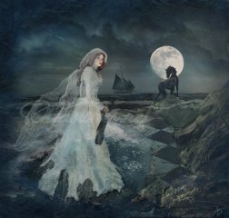 507__320x240_moonlight_shadow_cecile_lensen